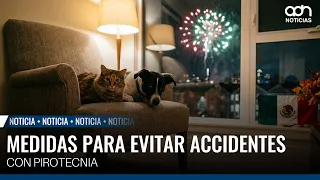 Before using fireworks for Independence Day celebrations, know the risks to dogs and cats