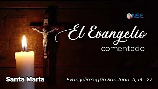 Gospel 📖 commentary July 29🕊️