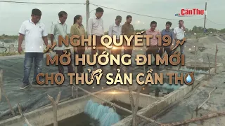 Resolution 19 paves a new path for aquaculture in Can Tho | CT-TDT