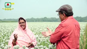 মাটি ও মানুষ-  কৃষি উন্নয়ন ভিত্তিক অনুষ্ঠান || সফল চাষী: শাহিদা বেগম