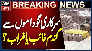 Thousands of Metric Tons of Wheat Reportedly Missing from Sanghar and Khipro Government Warehouses