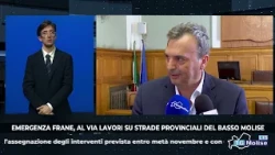 TG Lis del 16/10/2026
