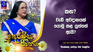 කන? වැඩි අවදානයක් යොමු කළ යුත්තේ ඇයි? | Adaraneeya Jeewithaya | Chandra Jayasooriya