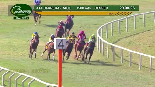 Hipódromo Monterrico - 4ta Carrera 29  Agosto 26