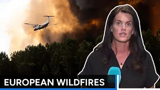 France, Spain race to contain wildfires as heatwave looms | RTÉ News