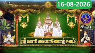 Srivari Kalyanotsavam || Tirumala || 16-08-2026 || SVBC2 Tamil  || SVBC TTD