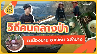 Way of Life in the Heart of the Forest, Mueang Mai Subdistrict, Chae Hom District, Lampang Provin...