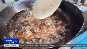 Illegal fishing threatens livelihoods and marine ecosystems in Zanzibar