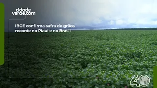 IBGE confirms record grain harvest in Piauí and Brazil