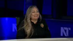 Perfiles y Perfilados