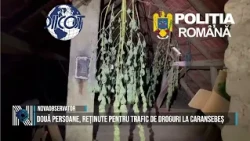 Two people detained for drug trafficking in Caransebeș