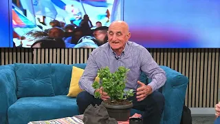 BEOGRADE DOBRO JUTRO -- Dragoljub Marković i Anja Radović