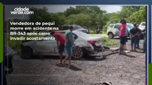 Vendedora de pequi morre em acidente na BR-343 após carro invadir acostamento