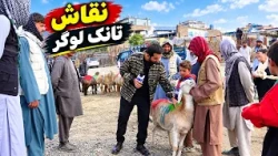 Selling cattles beside the road at Tank Logar, Kabul / فروش مواشی در کنار جاده تانک لوگر، کابل