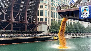 90 mil patos de borracha descem o rio Chicago em corrida solidária
