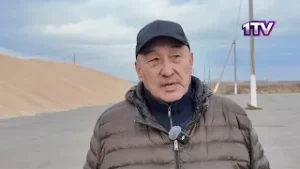 24.10.25. СҚО шаруалары 6,5 млн тонна астық жинады