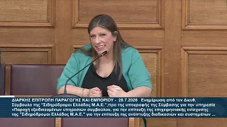 Ζ.Κωνσταντοπούλου (Πρόεδρος ΠΛΕΥΣΗΣ ΕΛΕΥΘΕΡΙΑΣ)(Διαρκ.επιτροπή παραγ.και εμπορίου)(28/07/2026)