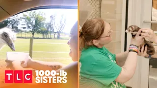 Animal Adventures, Slaton Style 🐴🐪 1000-lb Sisters | TLC