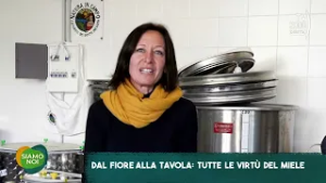 Siamo Noi (Tv2000) - I benefici del miele, dal fiore alla tavola