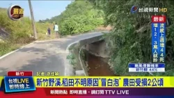 Mysterious "White Foam" in Hsinchu Creek and Rice Paddies Damages 2 Hectares of Farmland [Latest ...