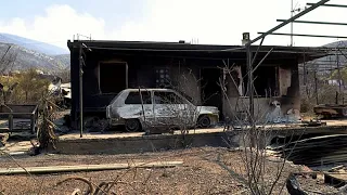 Incendi in Grecia: case distrutte e auto bruciate a Porto Germeno
