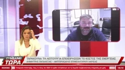 Δ. Παπαλέξης: Το ενεργειακό κόστος «ταρακουνά» τη λειτουργία των επιχειρήσεων