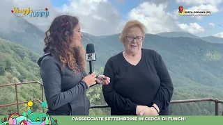 Viaggio in Liguria, passeggiate settembrine in cerca di funghi