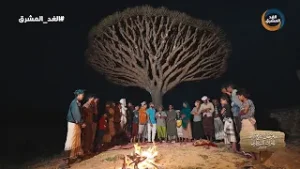 مهرجان الشيخ زايد للتراث السقطري | أنواع الفن السقطري القديم.. الحلقة الكاملة (8 نوفمبر)