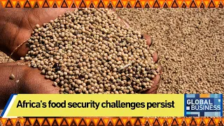 Africa's food security challenges persist