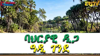 ባህርያዊ ዲጋ ዓዲ ገንደ - መደብ ኤረና | Erina - July 03, 2026 - ERi-TV, Eritrea
