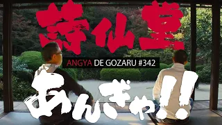 あんぎゃでござる！！ ＃３４２　詩仙堂あんぎゃ！！（2024年12月1日放送）