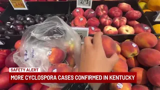 More Cyclospora cases confirmed in Kentucky