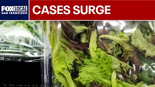 Cyclospora outbreak grows: 18,000 cases reported