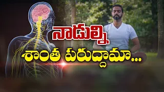 నాడుల్ని శాంతపరుద్దామా... | Can we calm and protect our Nerves ? | Sukhibhava