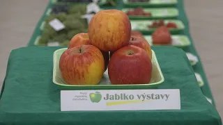 Plody myjavskej pahorkatiny 2026