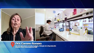 Dr. Carmen Romero - Nanoparticles for Ovarian Cancer | Meeting Point 2026