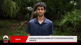 Yeroo waa’ee Pirofesarummaa yaaddan maaltu sammuu keesanitti dhufa?