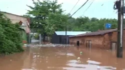 Avanza la crecida del río Paraná y familias abandonan sus hogares