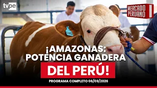 Peruvian Market September 6