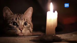 NEWS DIGEST 17.02.2026