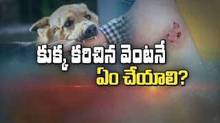 కుక్క కరిస్తే వెంటనే ఏం చేయాలి? | What to do immediately if a dog bites?| Sukhibhava | ETV Life