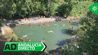 Andalucía Directo | Lunes 31 de agosto