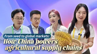 From seed to global markets: How China powers agricultural supply chains #worldnow