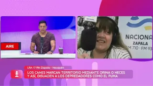 Bodas en Purmamarca, sismos en Río Grande y mucho más - Aire Nacional