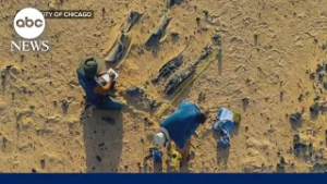 New dinosaur species discovered deep in the Sahara Desert