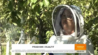 Prodhimi i mjaltit - Mirëmëngjesi Kosovë