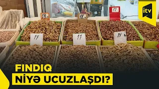 Fındıq bağlarında xəstəlik, bazarda ucuzluq: fermerləri nə gözləyir?