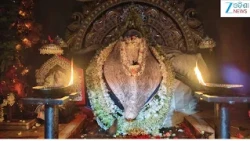 Sambalpur News: ଆଜି ପଵିତ୍ର ମହାଳୟା,ଧବଳମୁଖୀ ବେଶରେ ଦର୍ଶନ ଦେଉଛନ୍ତି ମାଆ  ସମଲେଶ୍ୱରୀ