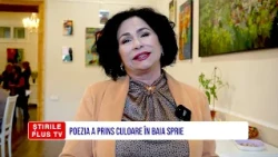 POEZIA A PRINS CULOARE ÎN BAIA SPRIE