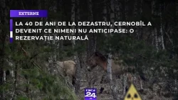 La 40 de ani de la dezastru, Cernobîl a devenit ce nimeni nu anticipase: o rezervație naturală